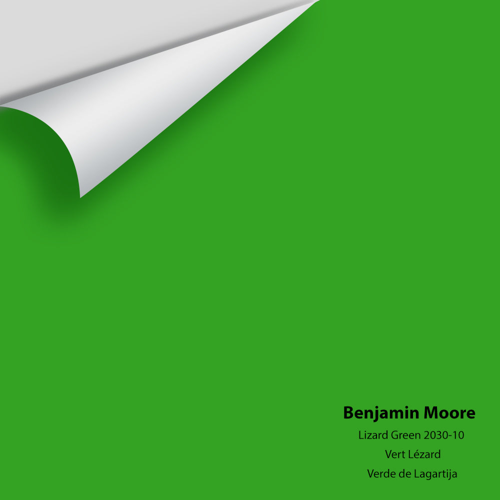Big Paint Chip - Lizard Green 2030-10