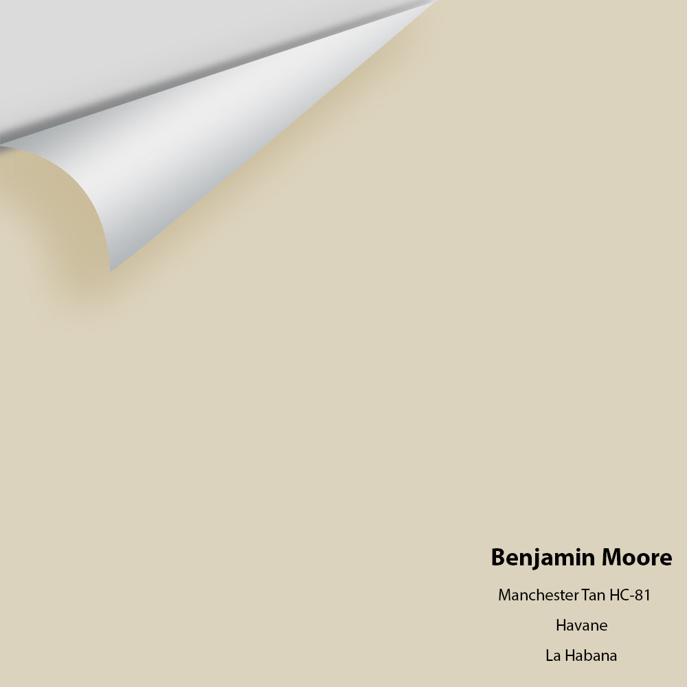 Benjamin Moore - Manchester Tan HC-81 Colour Sample