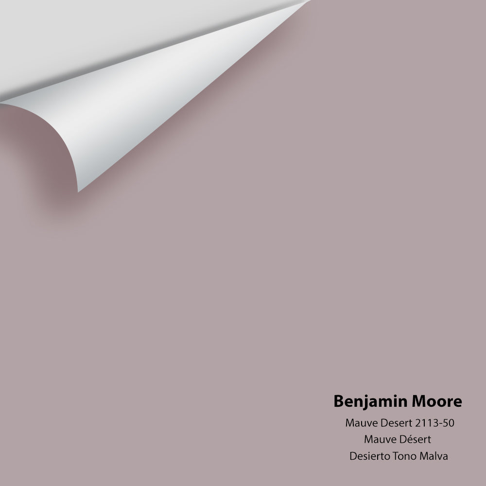 Benjamin Moore - Mauve Desert 2113-50 Colour Sample