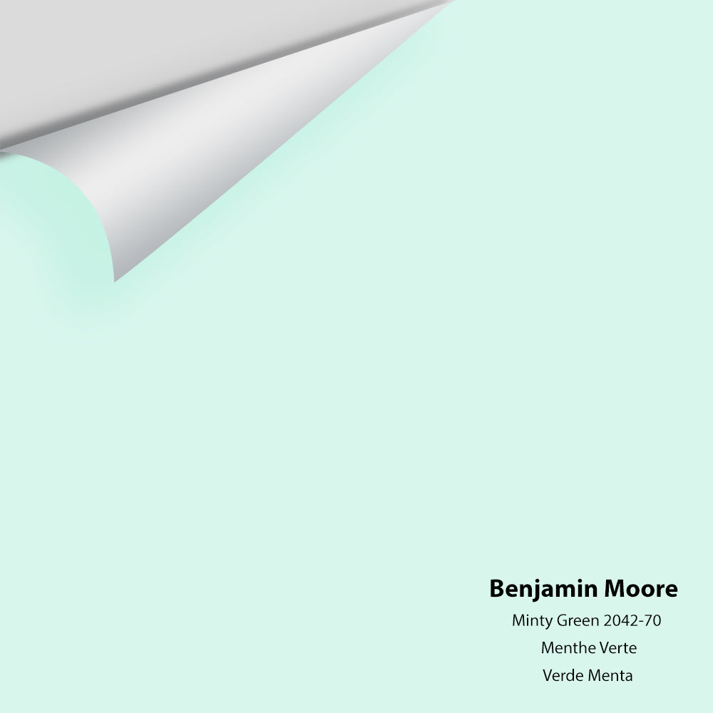 Big Paint Chip - Minty Green 2042-70