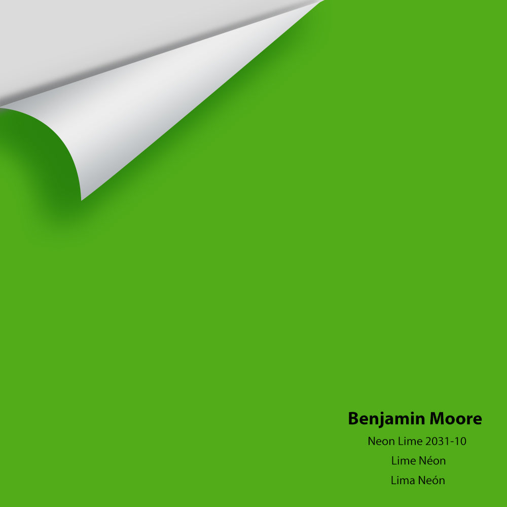 Big Paint Chip - Neon Lime 2031-10
