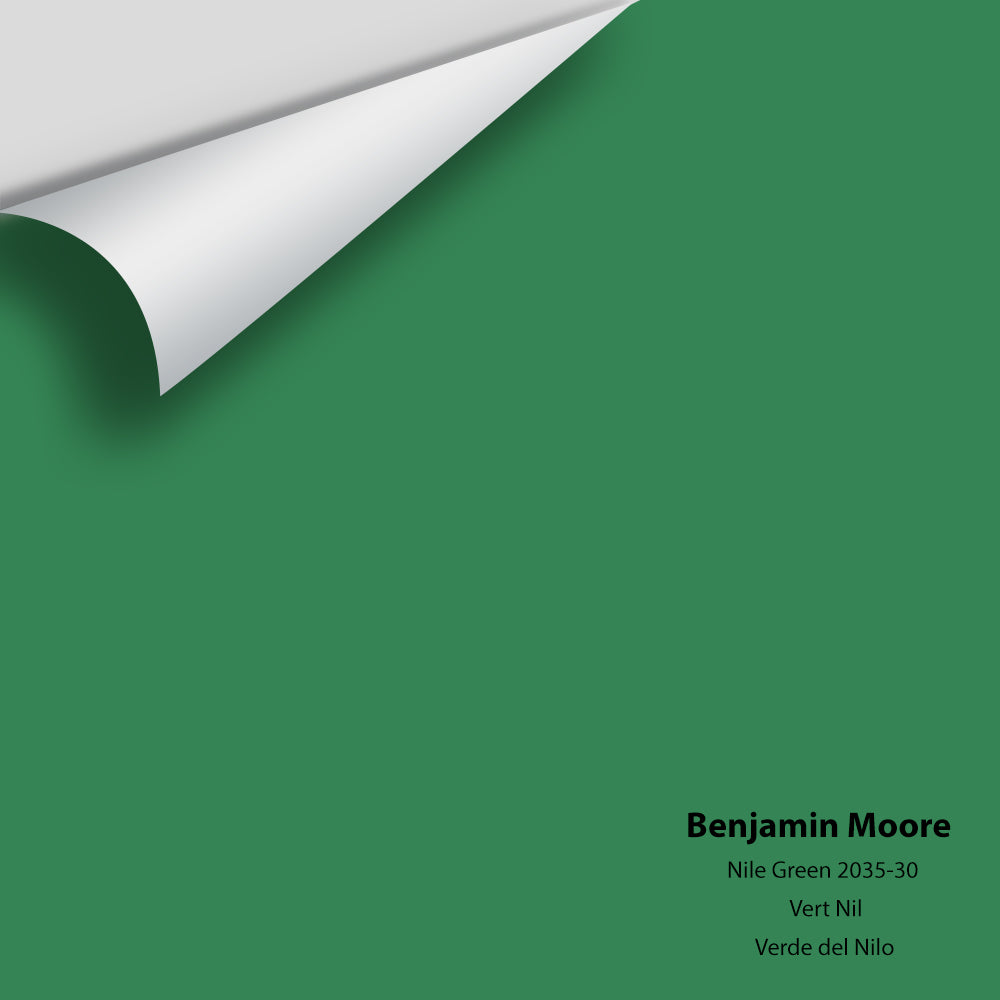 Big Paint Chip - Nile Green 2035-30