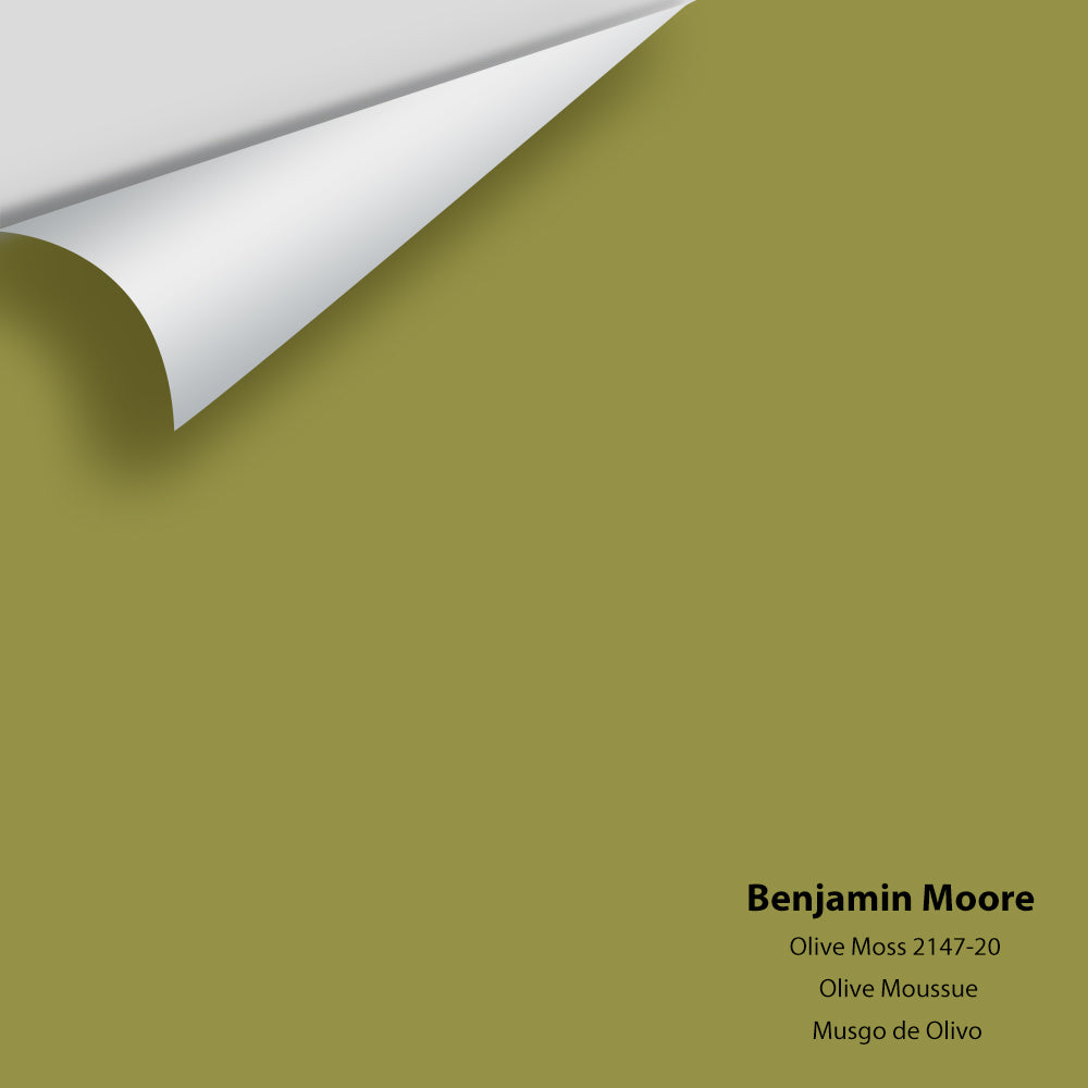 Big Paint Chip - Olive Moss 2147-20