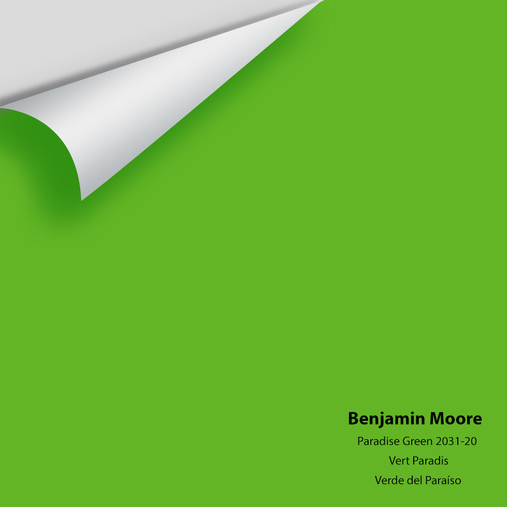 Big Paint Chip - Paradise Green 2031-20