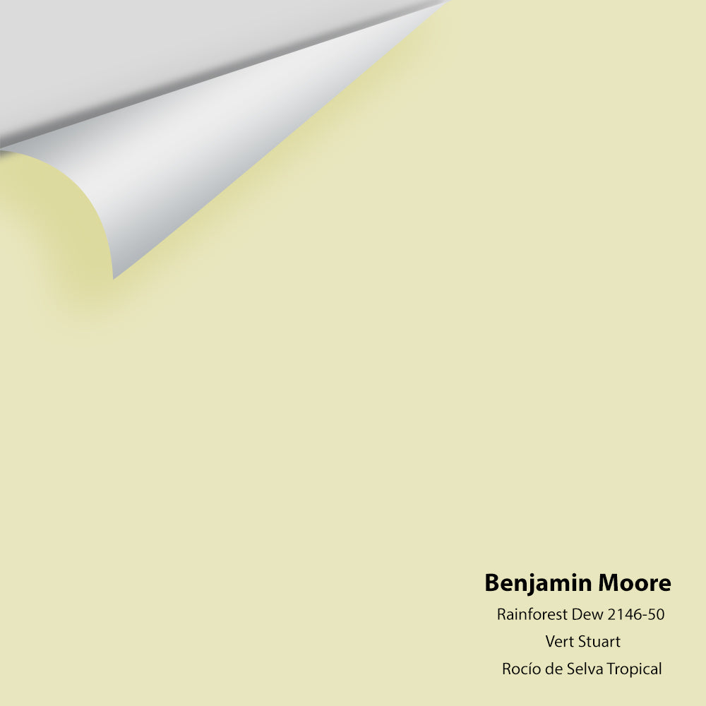 Big Paint Chip - Rainforest Dew 2146-50