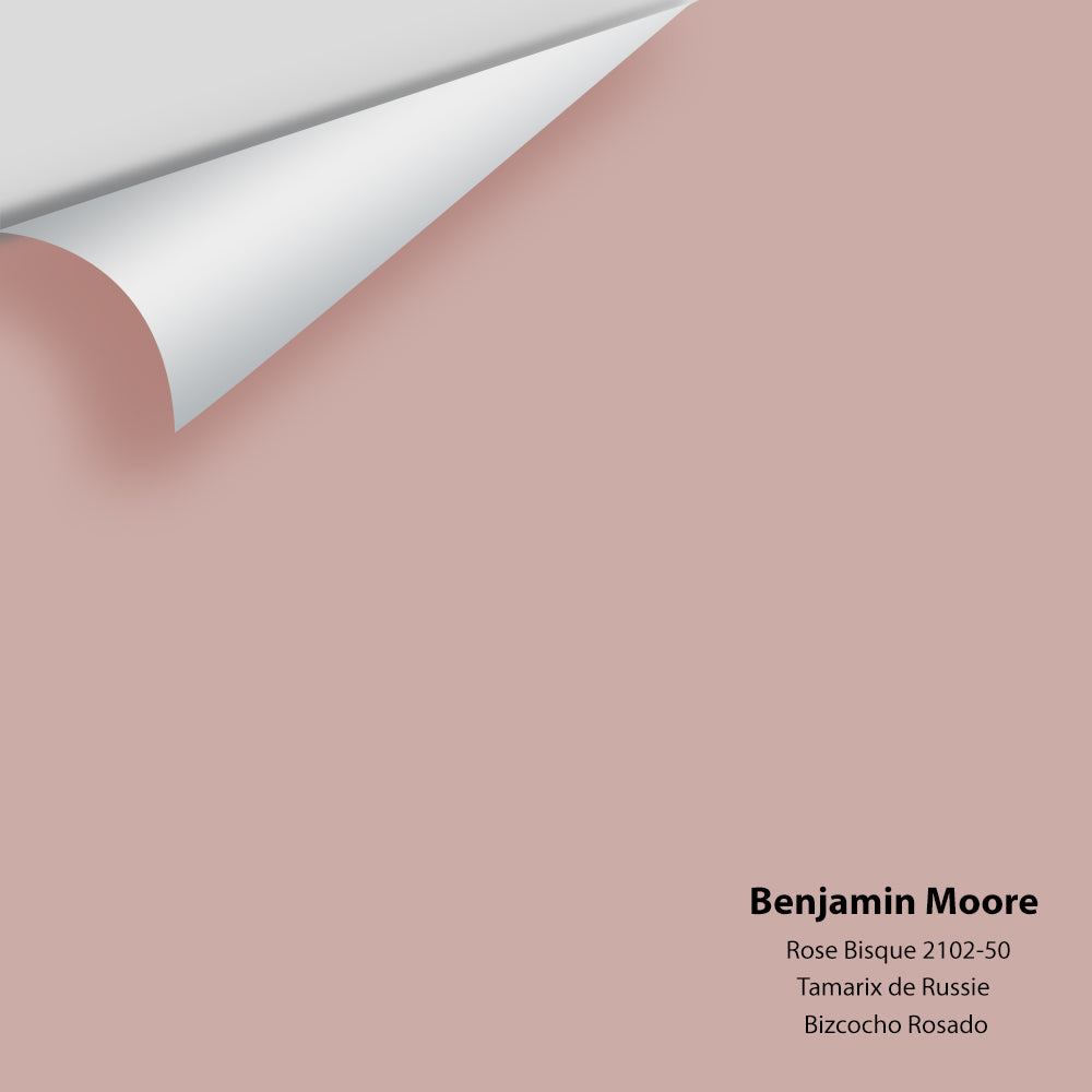 Benjamin Moore - Rose Bisque 2102-50 Colour Sample