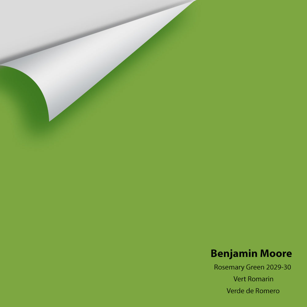 Big Paint Chip - Rosemary Green 2029-30
