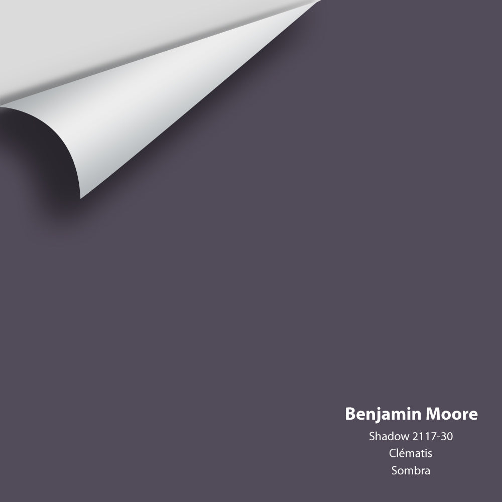 Benjamin Moore - Shadow 2117-30 Colour Sample