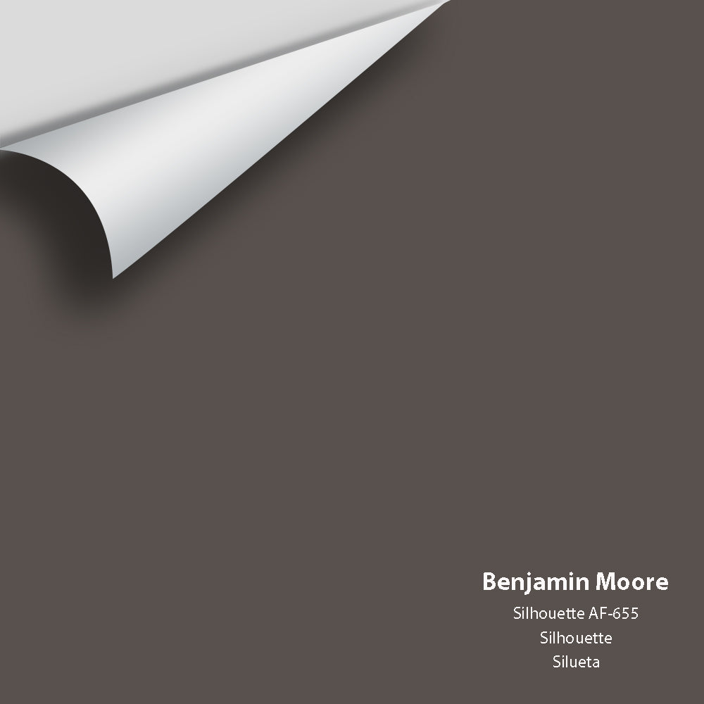 Benjamin Moore - Silhouette AF-655 Colour Sample
