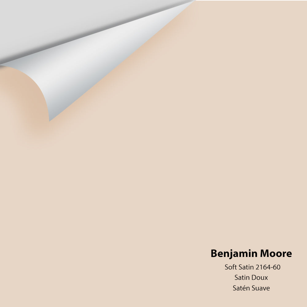 Big Paint Chip - Soft Satin 2164-60