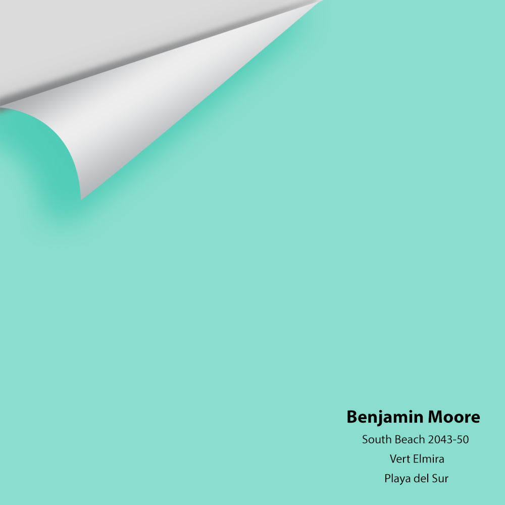 Big Paint Chip - South Beach 2043-50
