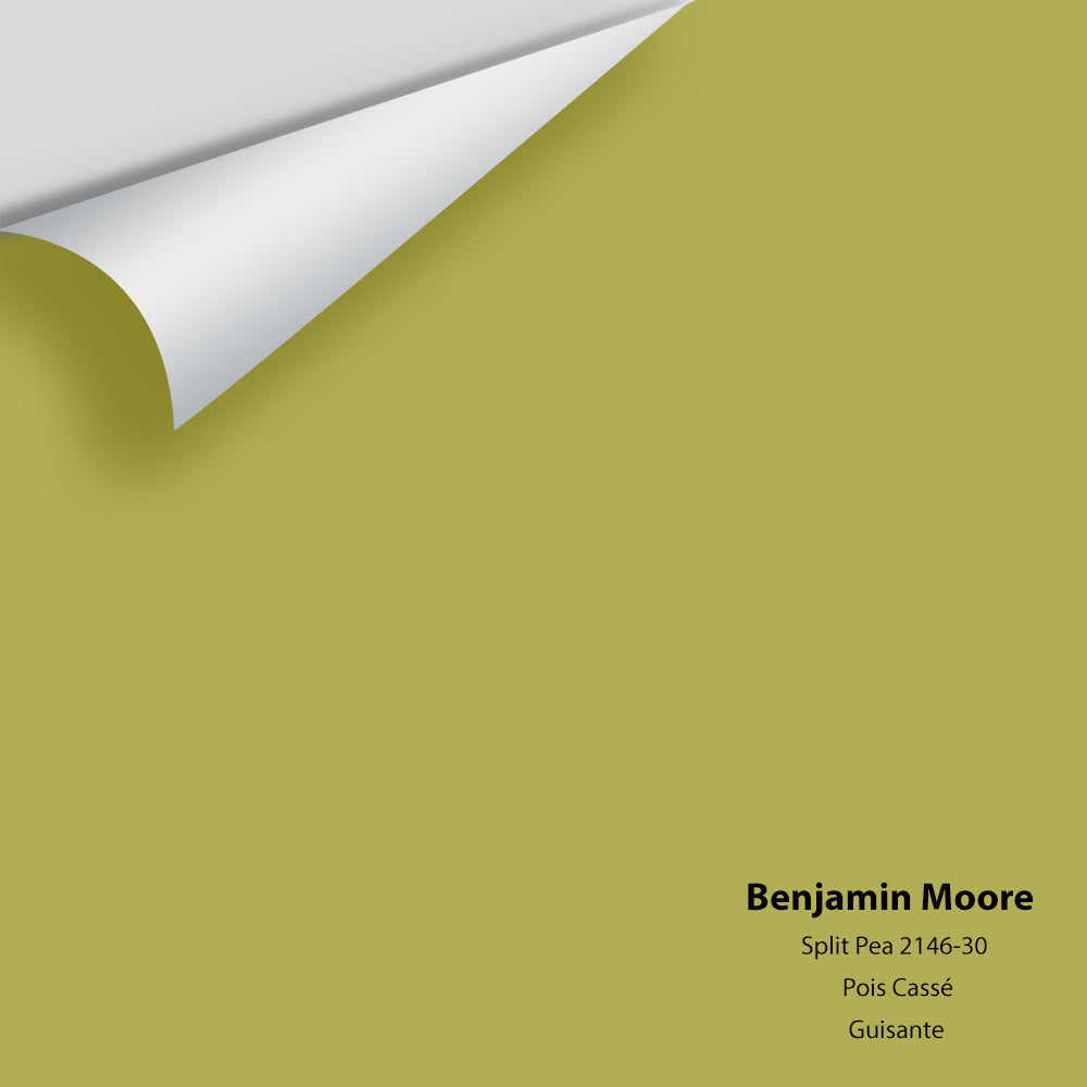 Big Paint Chip - Split Pea 2146-30