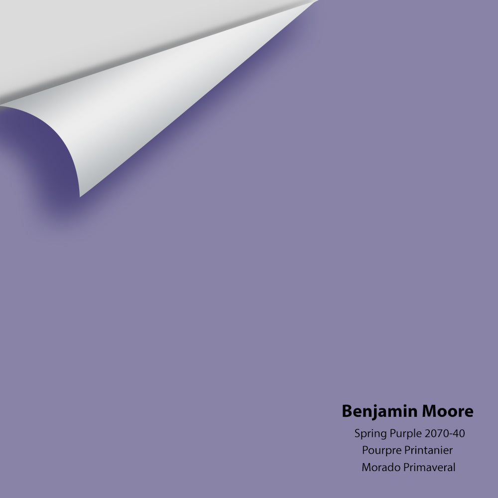 Benjamin Moore - Spring Purple 2070-40 Colour Sample