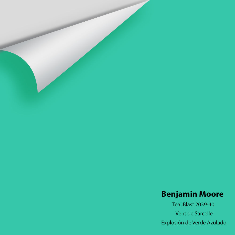 Big Paint Chip - Teal Blast 2039-40