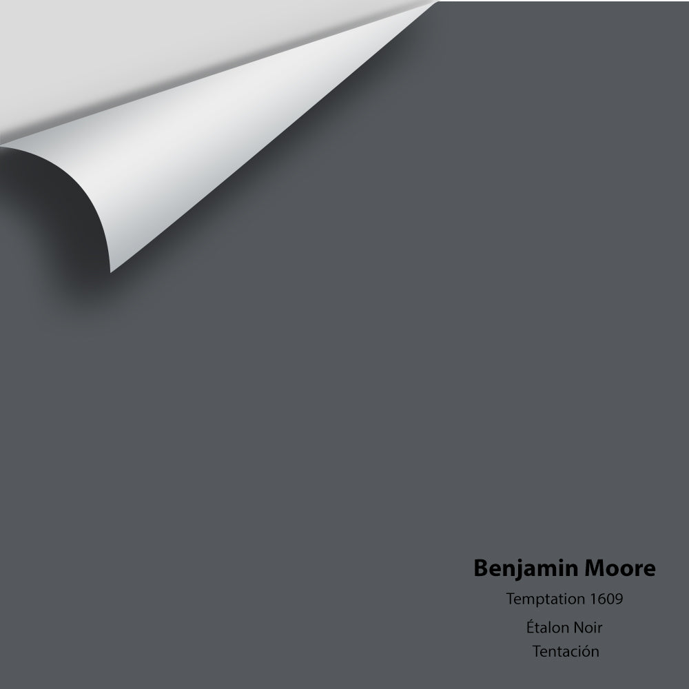 Benjamin Moore - Temptation 1609 Colour Sample