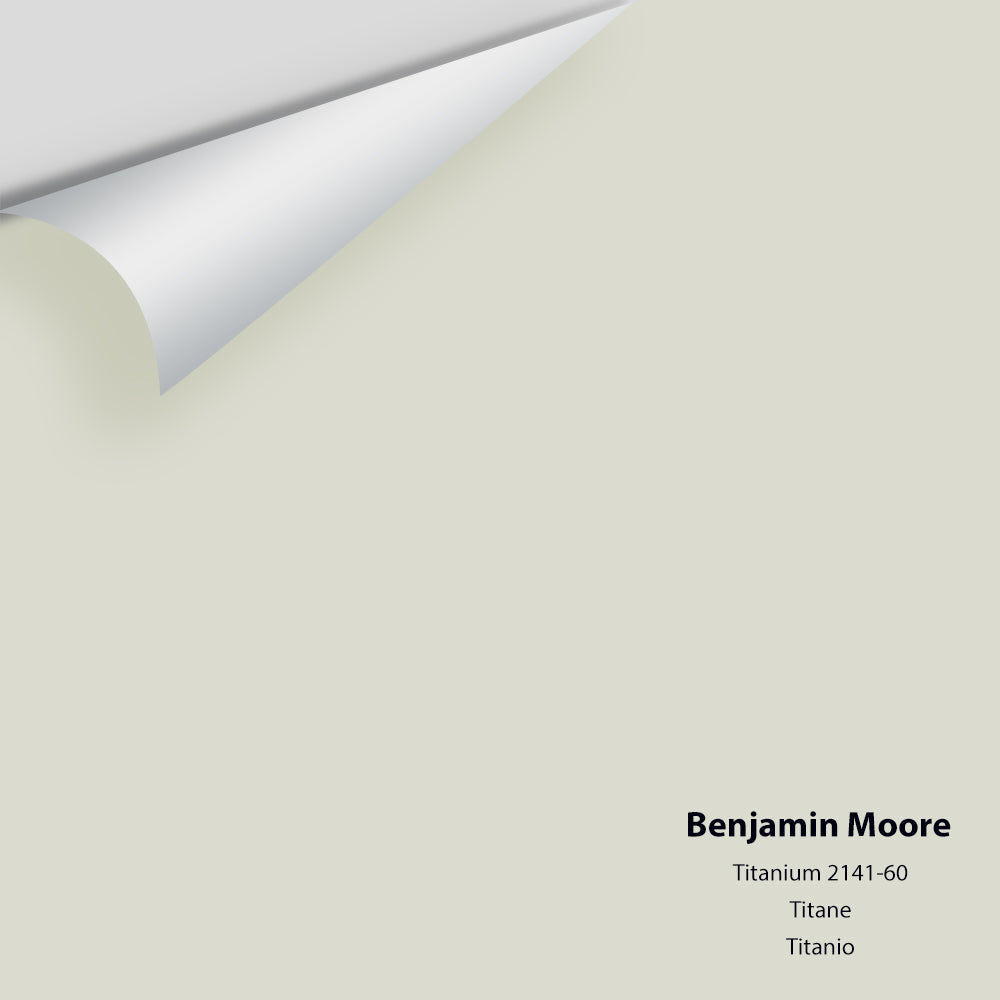 Benjamin Moore - Titanium 2141-60 / OC-49 Colour Sample