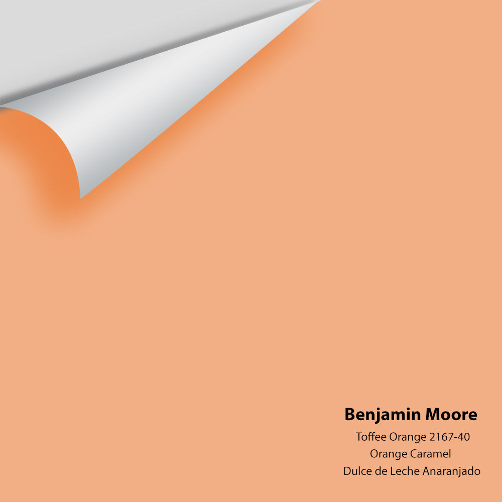 Big Paint Chip - Toffee Orange 2167-40