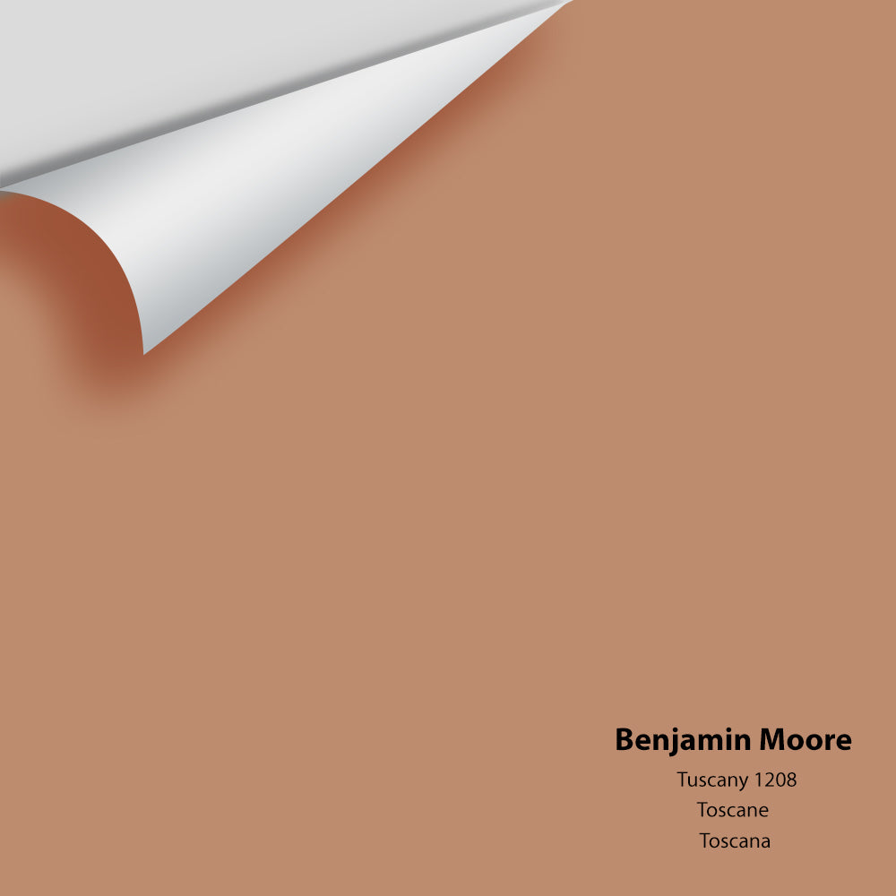 Big Paint Chip - Tuscany 1208