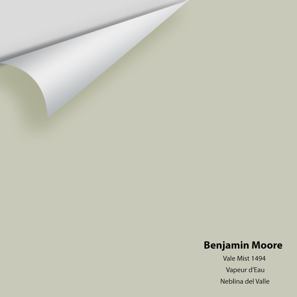Big Paint Chip - Vale Mist 1494
