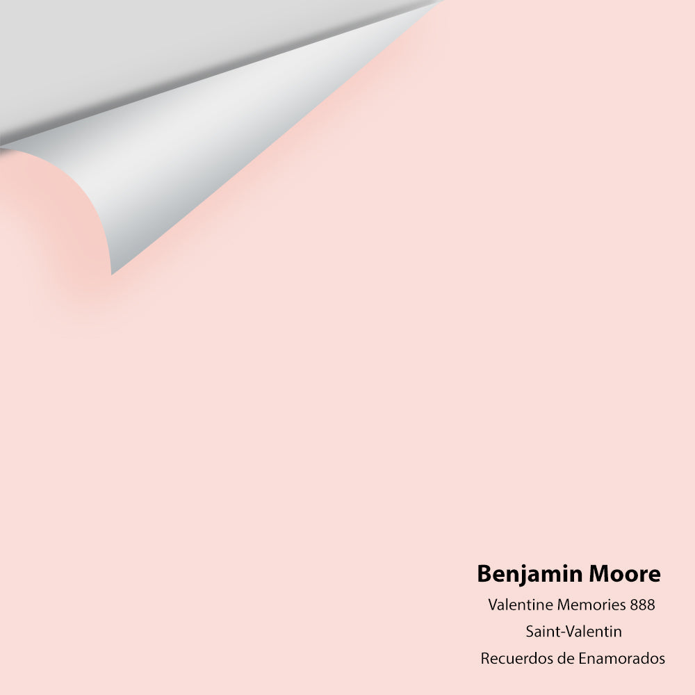 Big Paint Chip - Valentine Memories 888