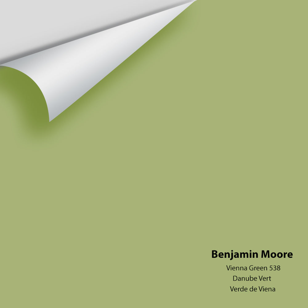 Big Paint Chip - Vienna Green 538