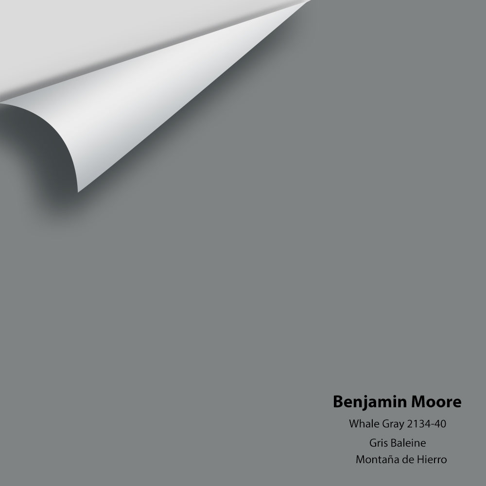 Benjamin Moore - Whale Gray 2134-40 Colour Sample