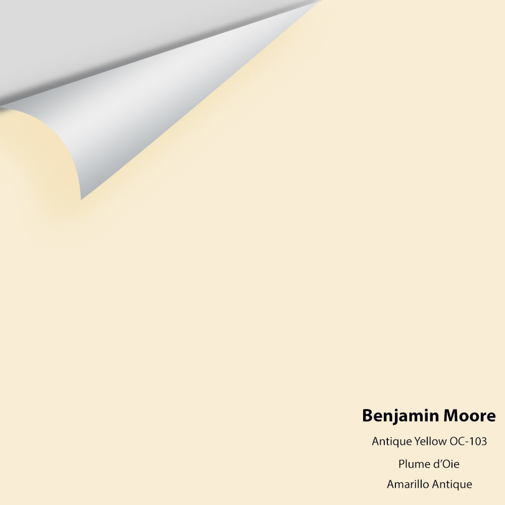 Peel and Stick Paint Color Chips