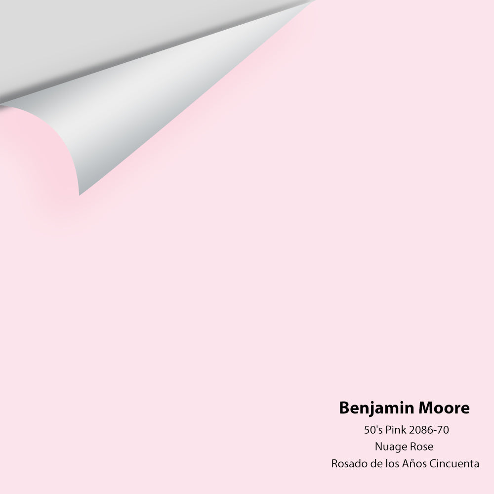 Big Paint Chip - 50's Pink 2086-70