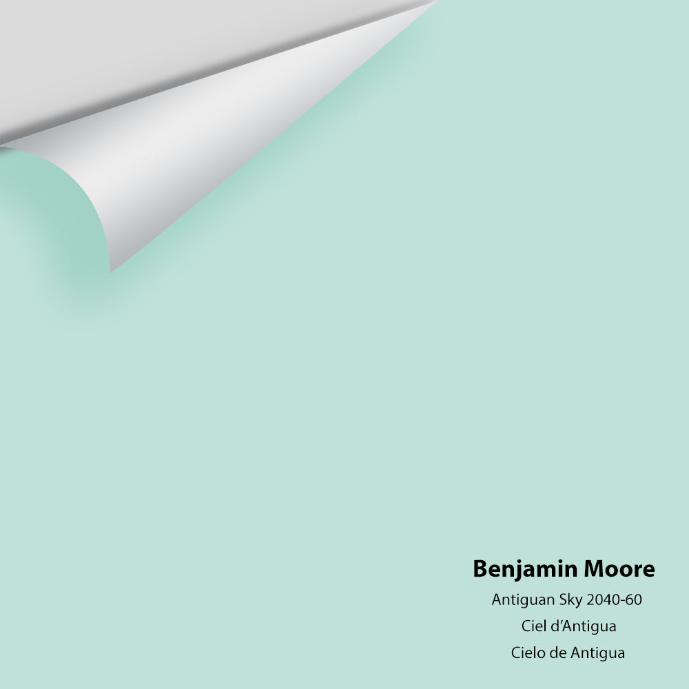 Big Paint Chip - Antiguan Sky 2040-60