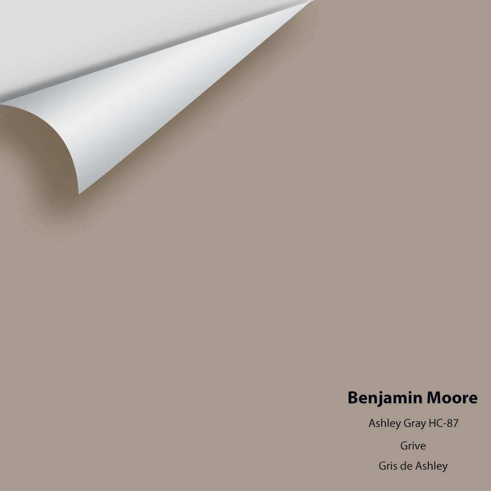 Benjamin Moore - Ashley Gray HC-87 Colour Sample