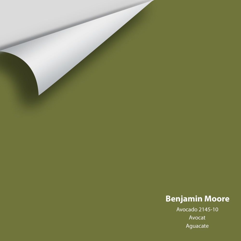 Big Paint Chip - Avocado 2145-10