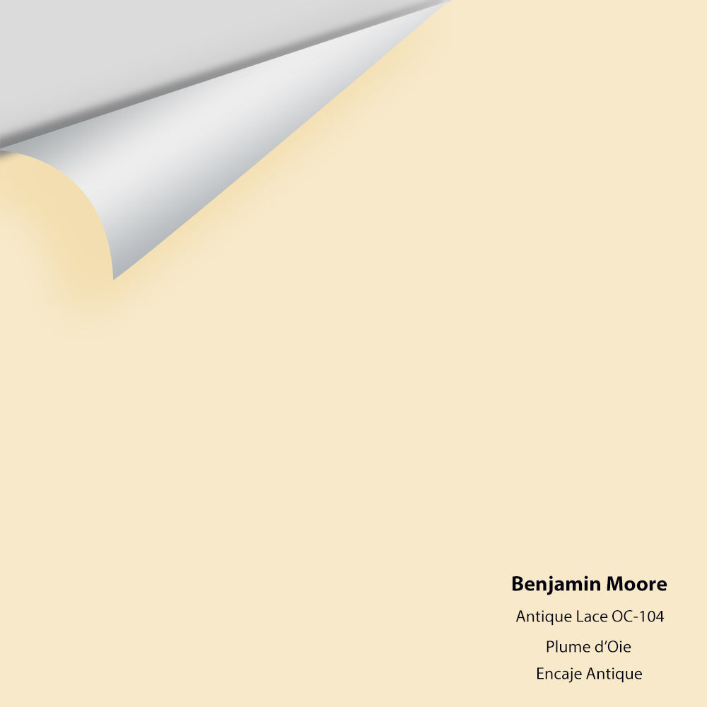 Benjamin Moore - Antique Lace 922 / OC-104 Colour Sample