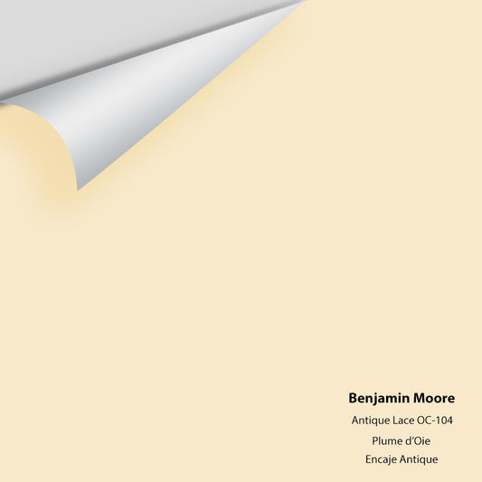 Benjamin Moore - Antique Lace 922 / OC-104 Colour Sample