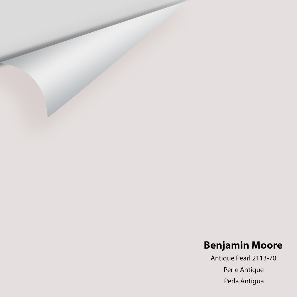 Big Paint Chip - Antique Pearl 2113-70