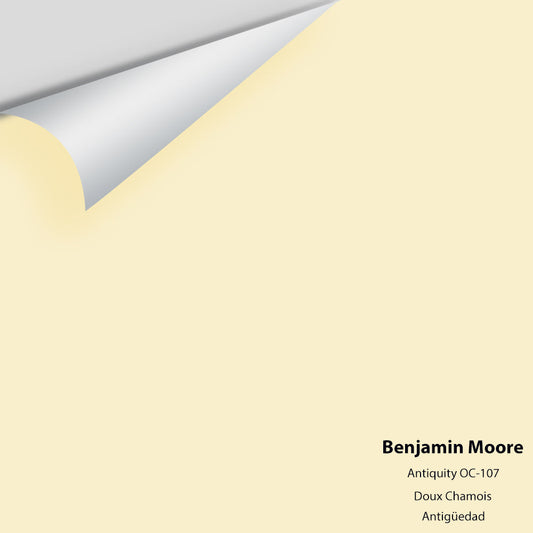 Big Paint Chip - Antiquity OC-107