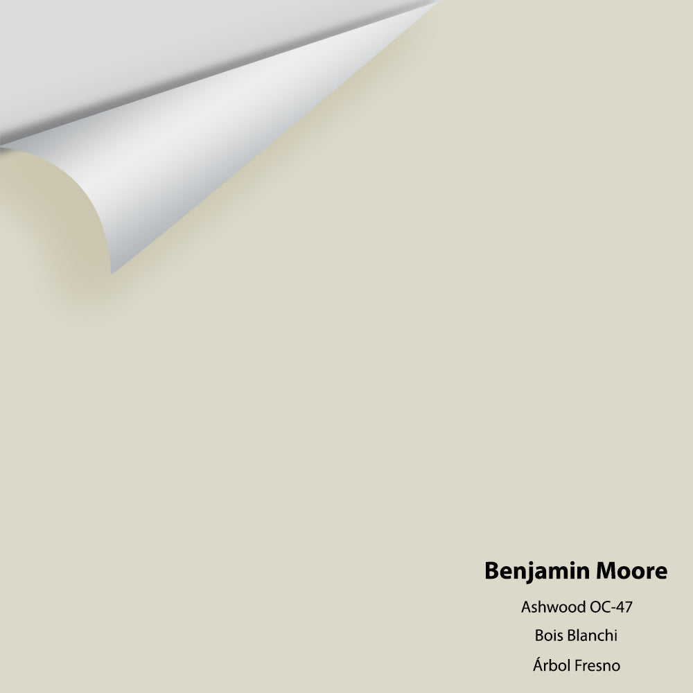 Benjamin Moore - Ashwood OC-47 Colour Sample