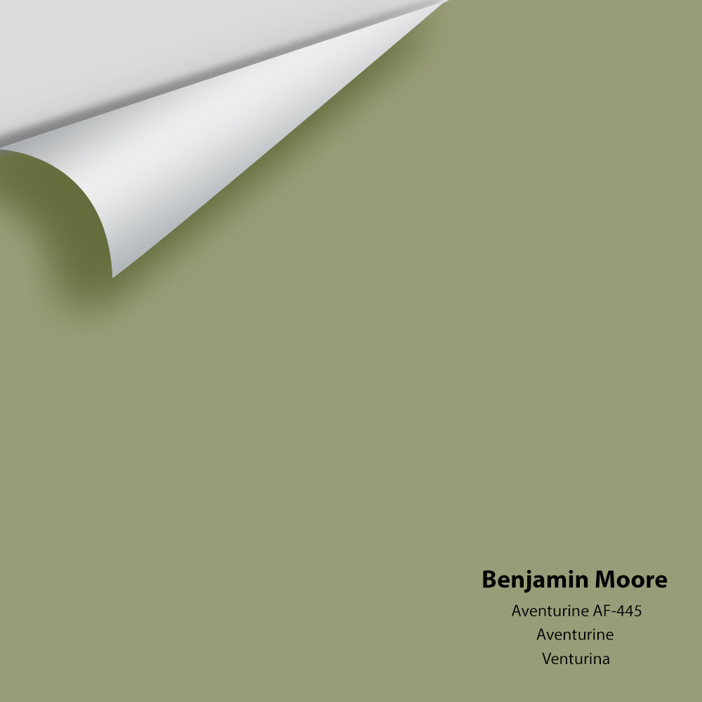 Benjamin Moore - Aventurine AF-445 Colour Sample