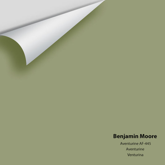 Benjamin Moore - Aventurine AF-445 Colour Sample