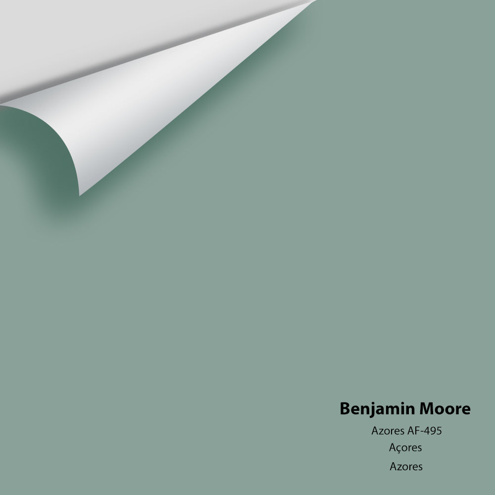 Benjamin Moore - Azores AF-495 Colour Sample