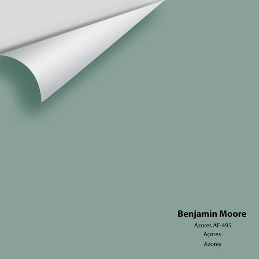 Benjamin Moore - Azores AF-495 Colour Sample