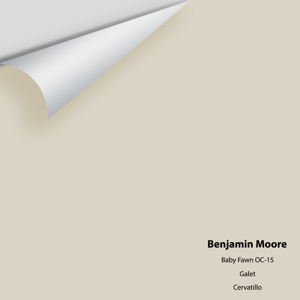 Benjamin Moore - Baby Fawn OC-15 Colour Sample