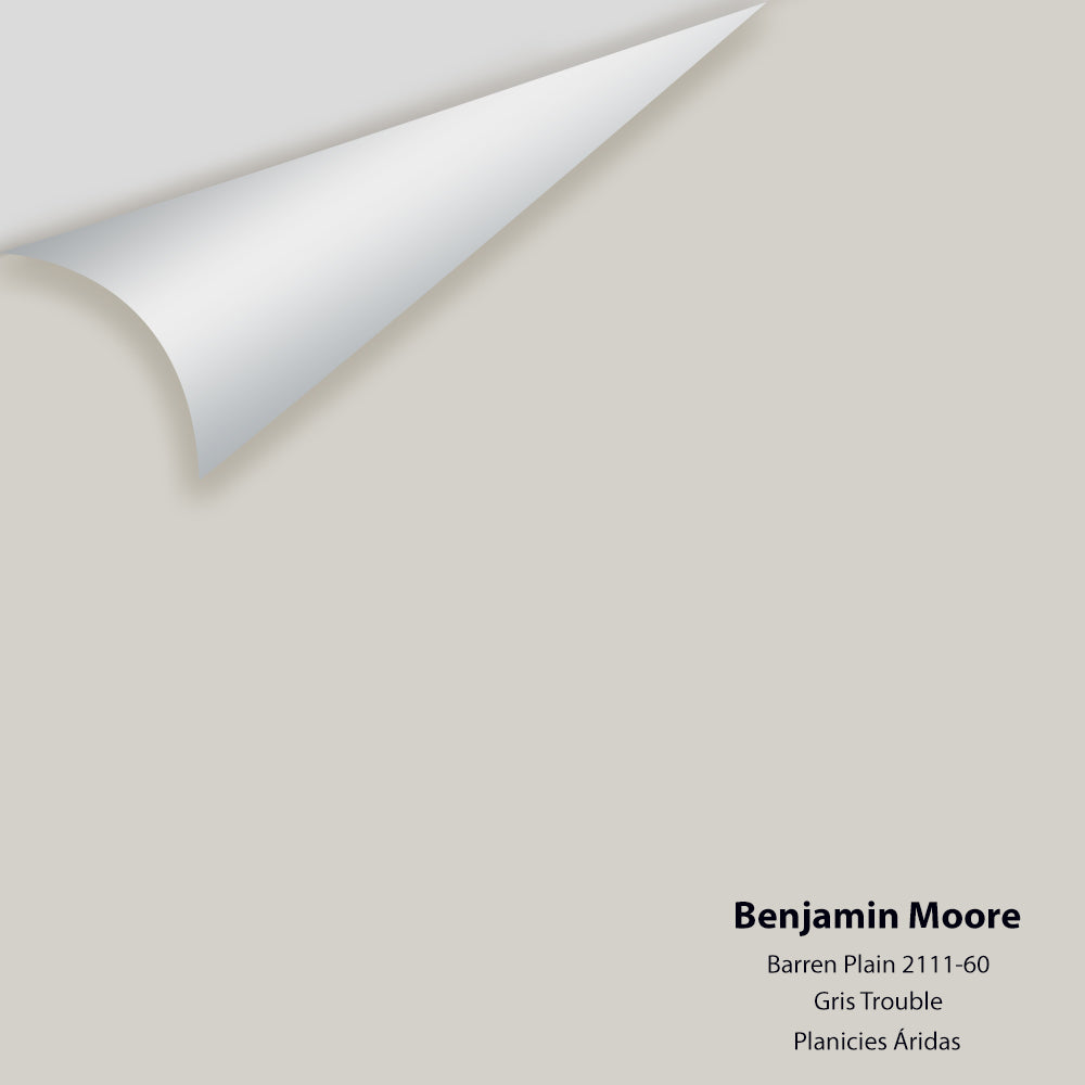 Benjamin Moore - Barren Plain 2111-60 Colour Sample