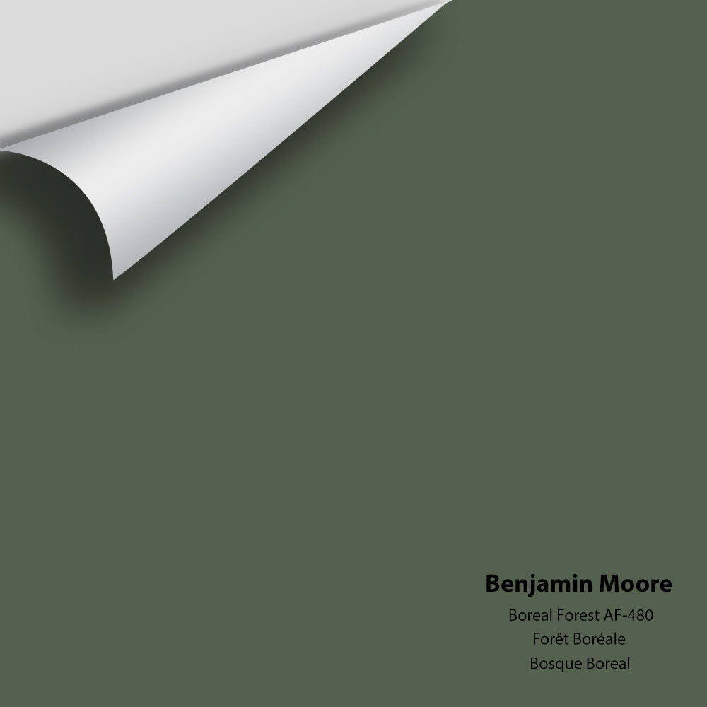 Benjamin Moore - Boreal Forest AF-480 Colour Sample