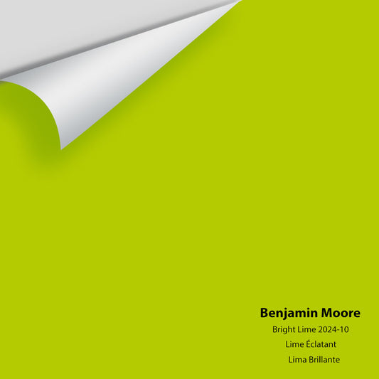 Big Paint Chip - Bright Lime 2025-10