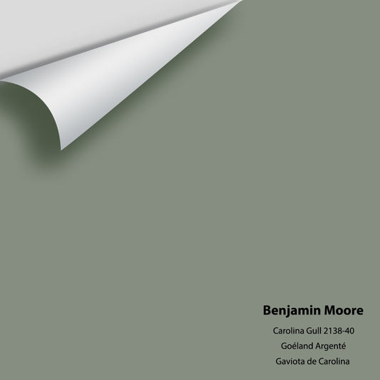 Benjamin Moore - Carolina Gull 2138-40 Colour Sample