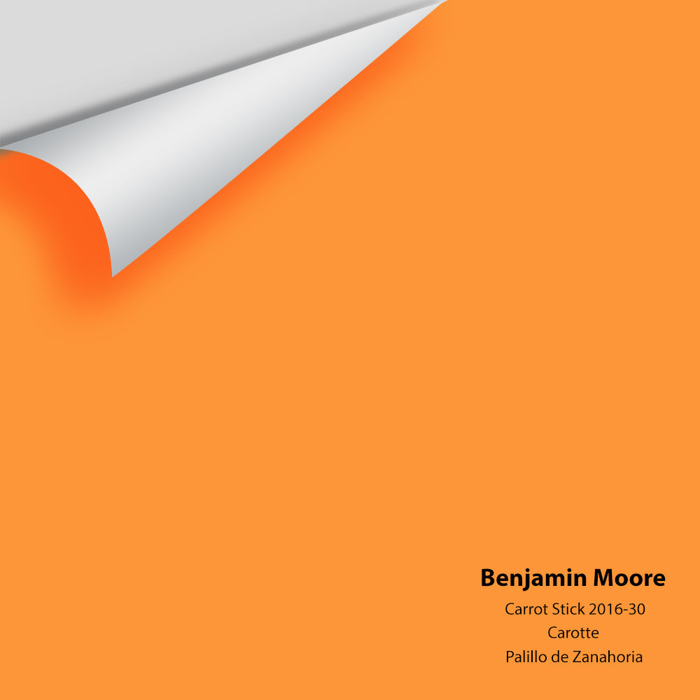 Big Paint Chip - Carrot Stick 2016-30