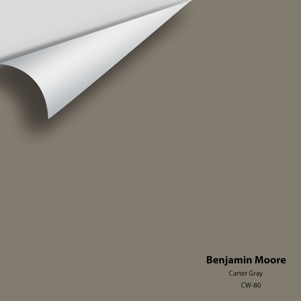Benjamin Moore - Carter Gray CW-80 Colour Sample