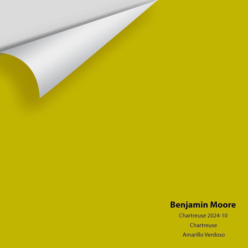 Big Paint Chip - Chartreuse 2024-10