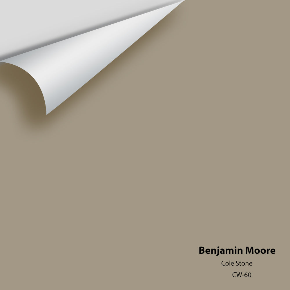 Benjamin Moore - Cole Stone CW-60 Colour Sample