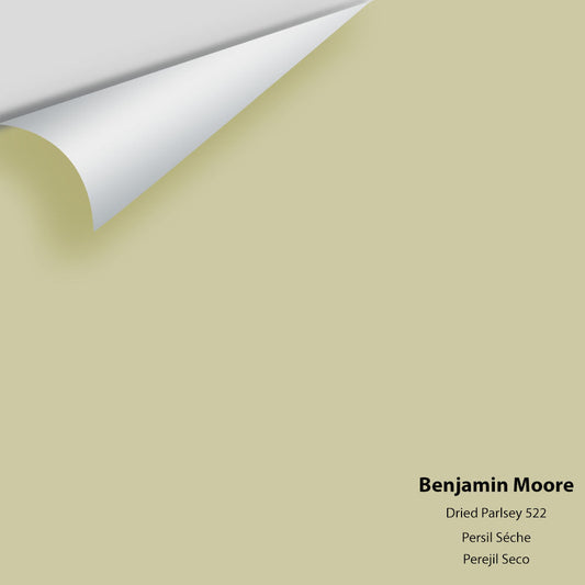 Benjamin Moore - Dried Parsley 522 Colour Sample